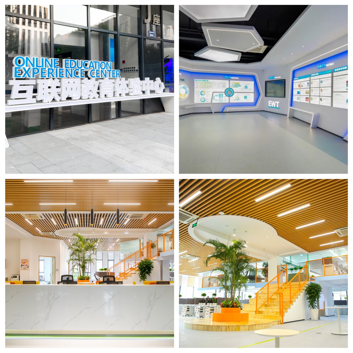 1677638967358123.jpg IMG_5723.JPG