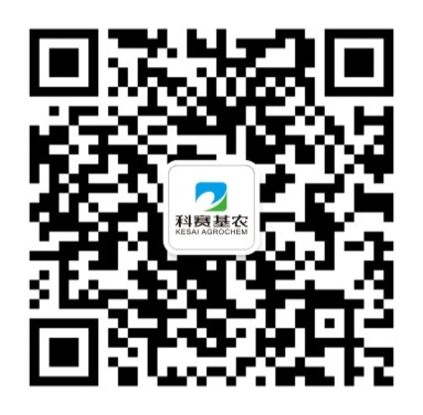 1725504600638964.png 科赛官方微信.png