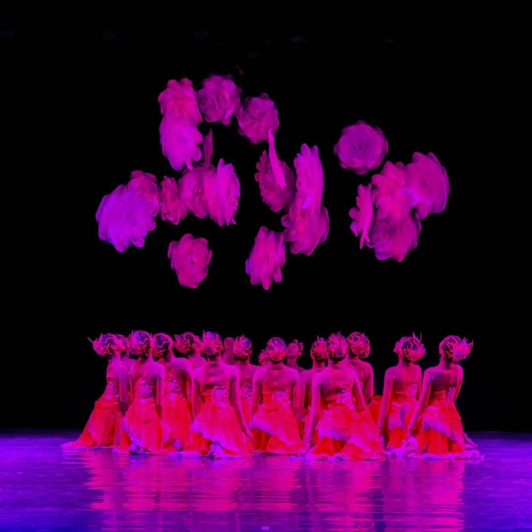 1700614149350845.jpg 6.jpg