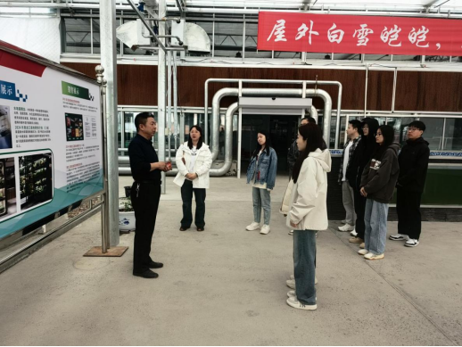 1744266992662658.png image.png