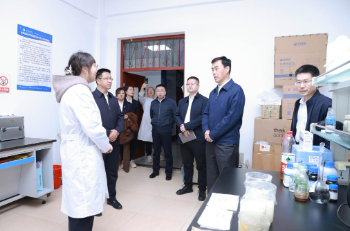 1745201876807710.png image.png